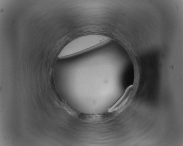 X0000070860288200606231300