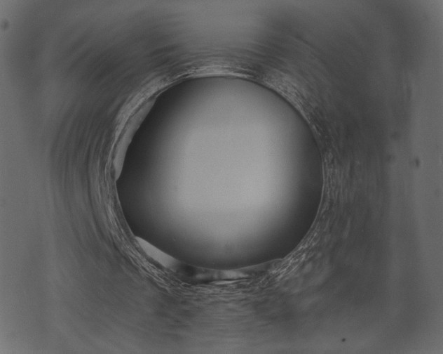 X0000070860289200606231300