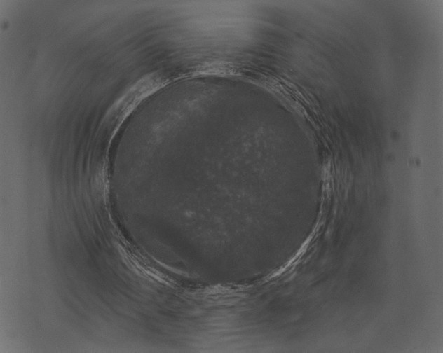 X0000070860290200606231300