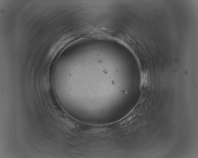 X0000070860291200606231300