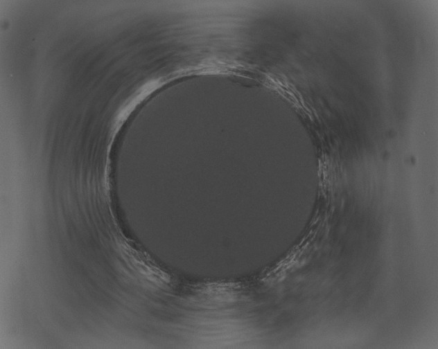 X0000070860292200606231300