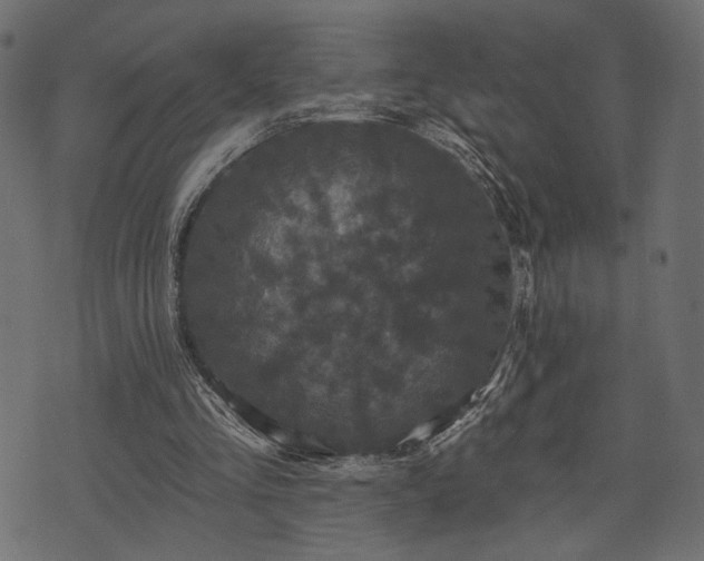 X0000070860293200606231300