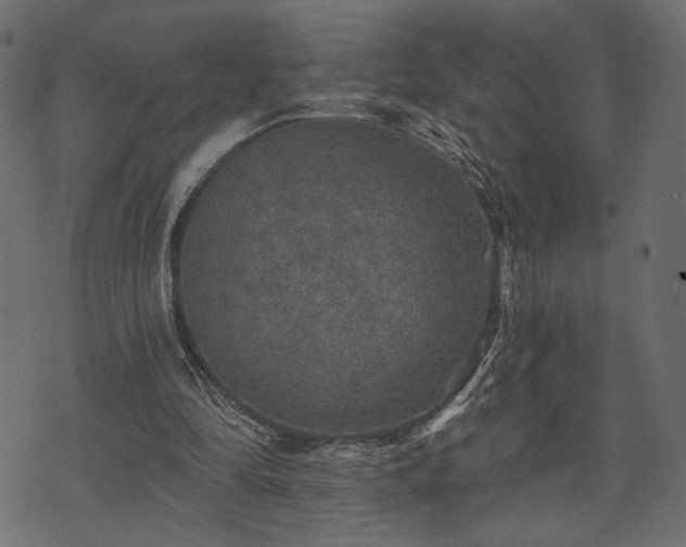 X0000070860294200606231300