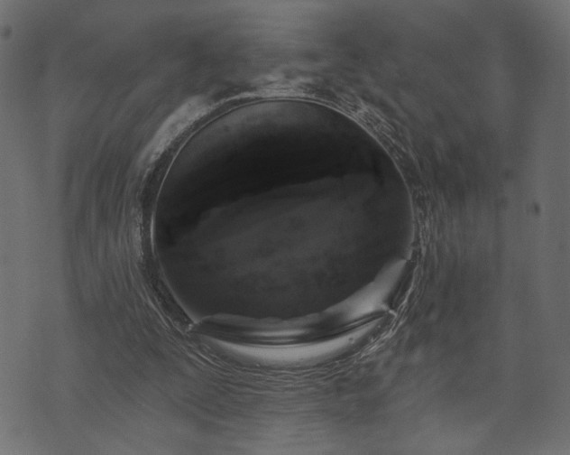 X0000070860295200606231300