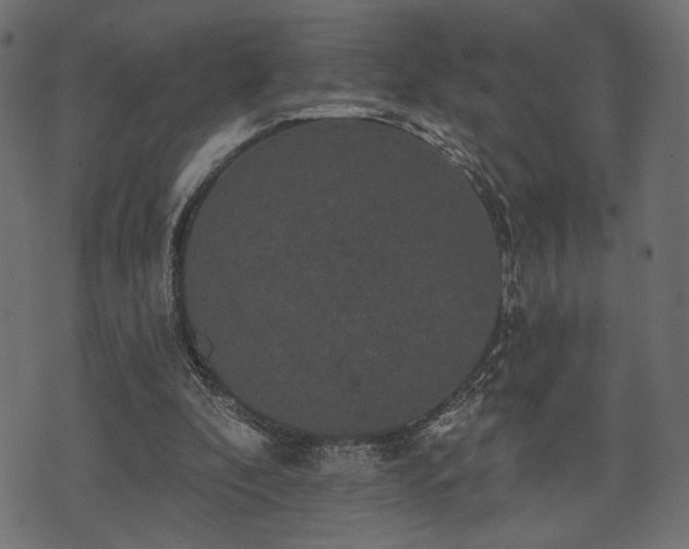 X0000070860296200606231300