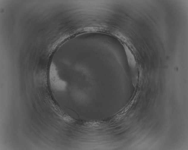 X0000070860297200606231300