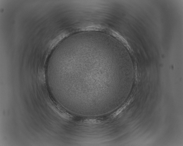 X0000070860298200606231259