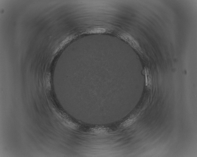 X0000070860300200606231259