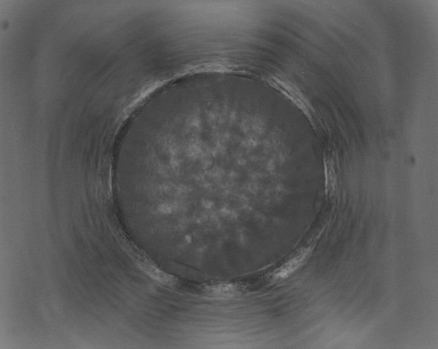 X0000070860301200606231259