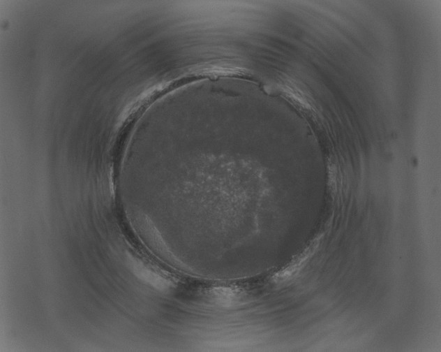 X0000070860302200606231259