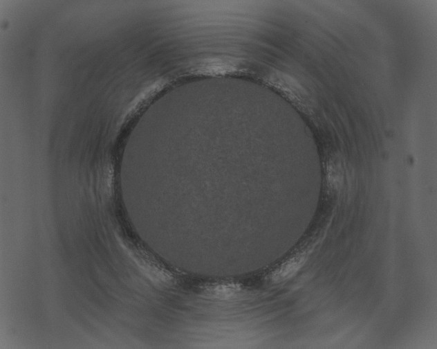 X0000070860304200606231259