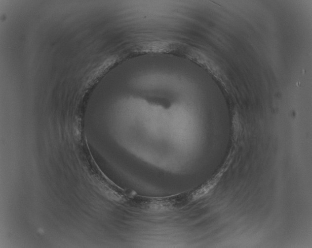 X0000070860305200606231259