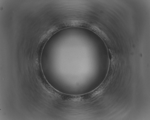 X0000070860306200606231259