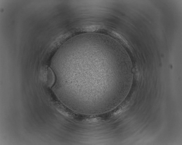 X0000070860307200606231259