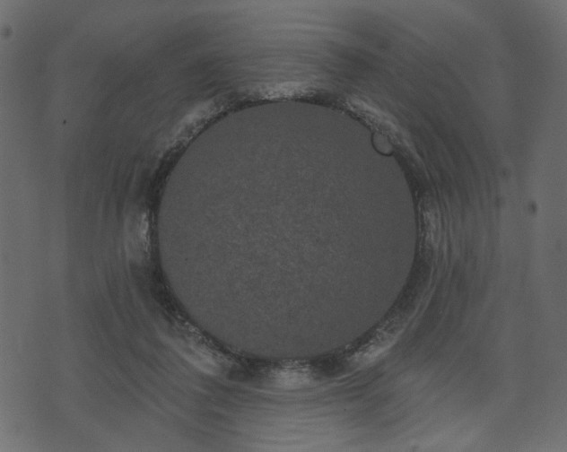 X0000070860308200606231259