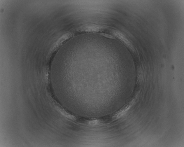 X0000070860309200606231259