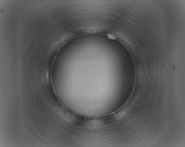 X0000070860310200606231259