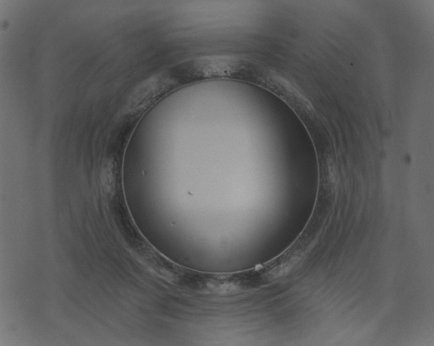 X0000070860311200606231259