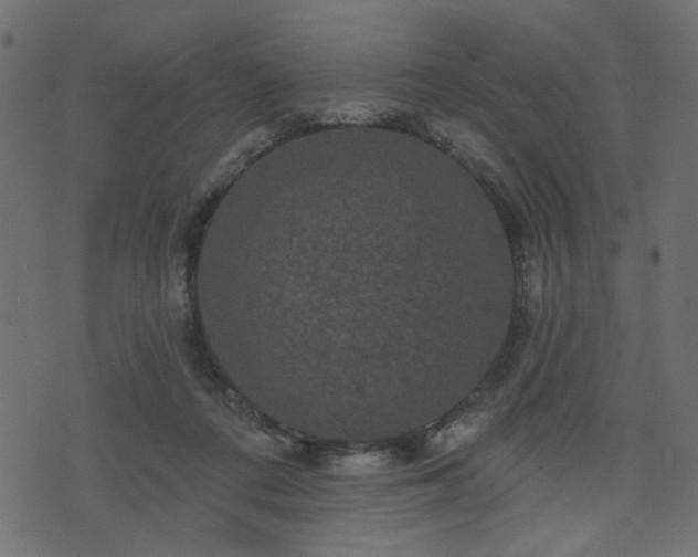 X0000070860312200606231259