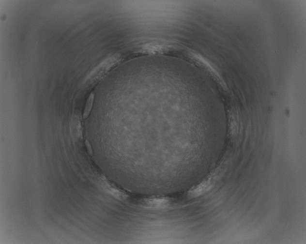 X0000070860313200606231259