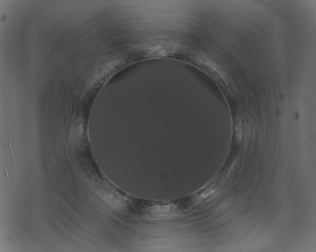 X0000070860314200606231259