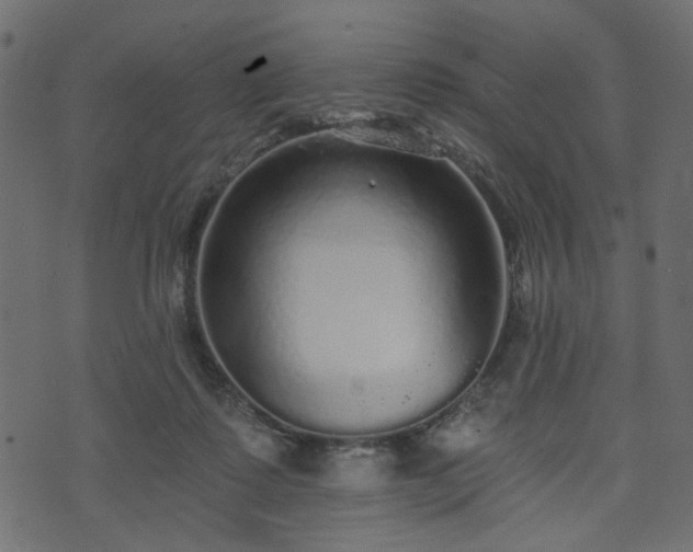 X0000070860315200606231259