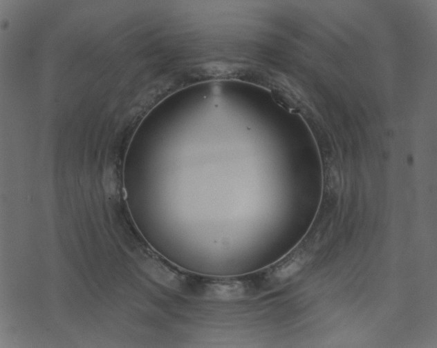 X0000070860317200606231259