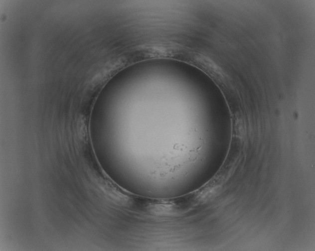 X0000070860318200606231259