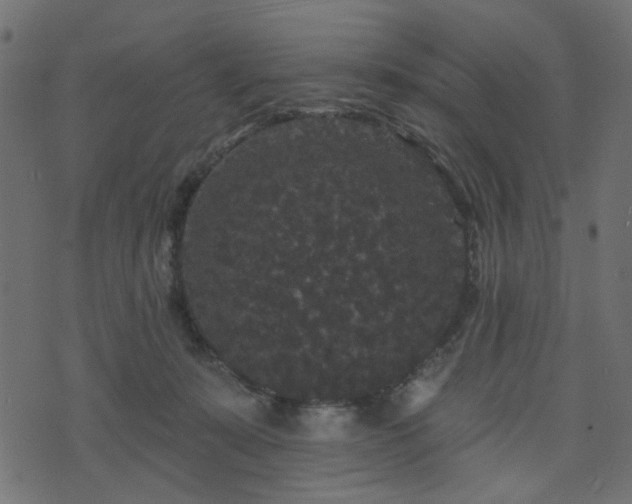 X0000070860319200606231259