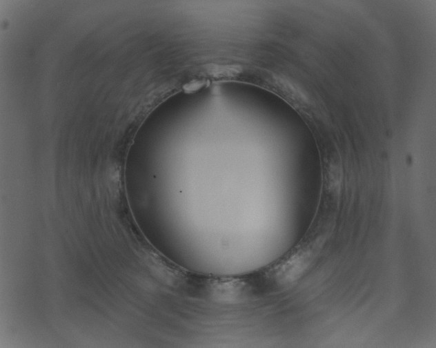 X0000070860321200606231259