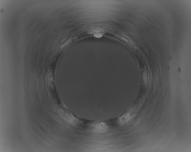 X0000070860322200606231259