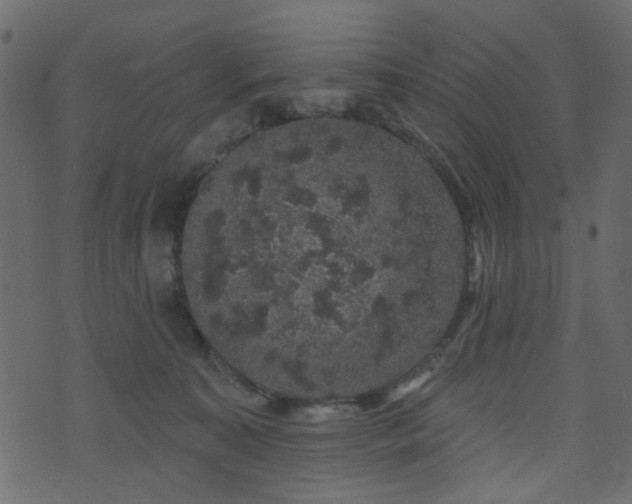 X0000070860323200606231259