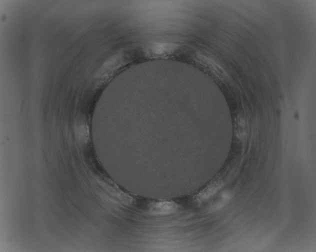 X0000070860324200606231259