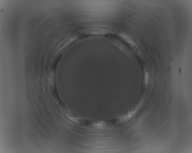 X0000070860325200606231259