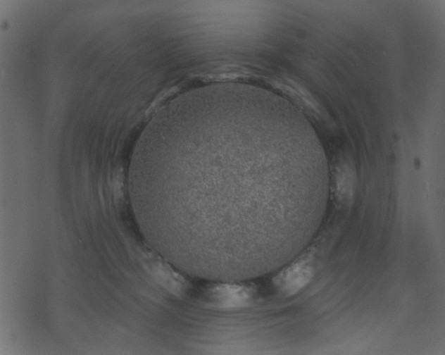 X0000070860326200606231259