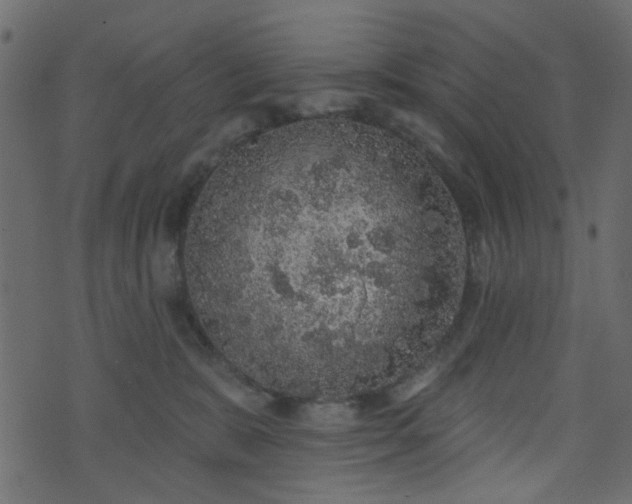 X0000070860327200606231259