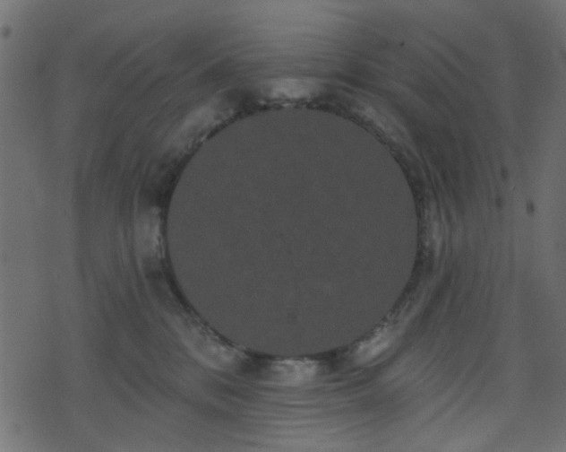 X0000070860328200606231259