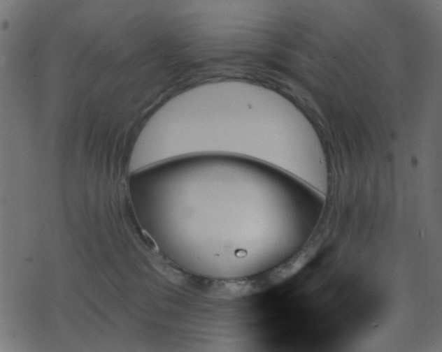 X0000070860329200606231259