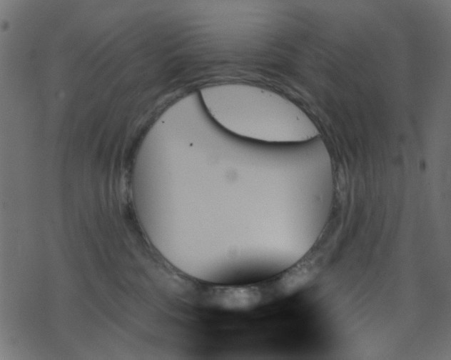 X0000070860330200606231259