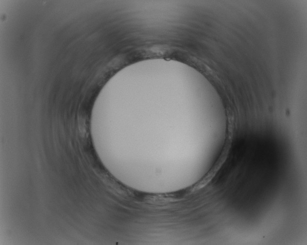 X0000070860331200606231259