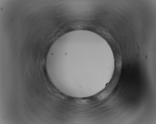 X0000070860332200606231259