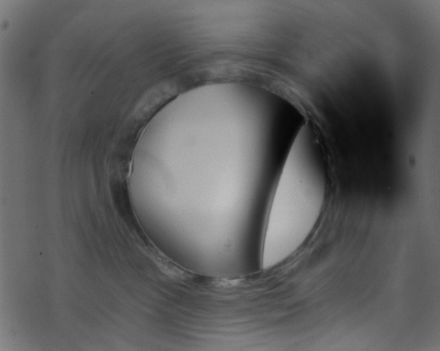 X0000070860333200606231259