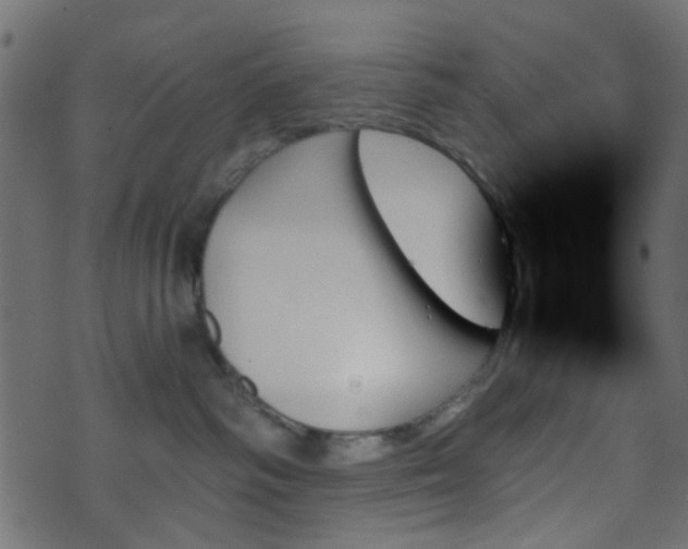 X0000070860334200606231259