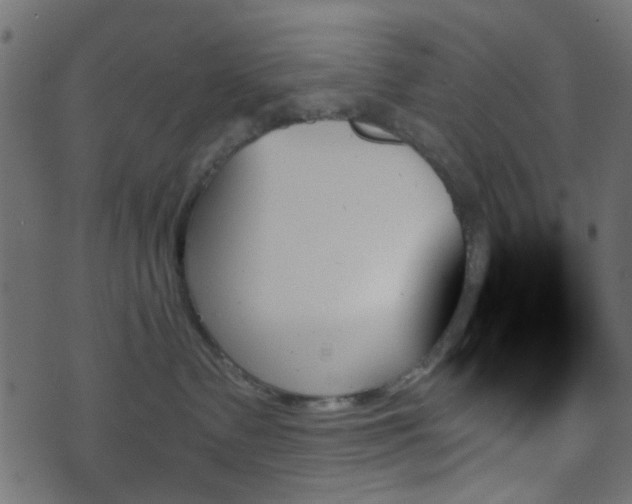 X0000070860335200606231259