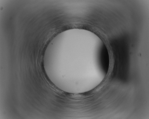 X0000070860336200606231259