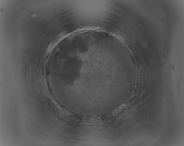 X0000070860337200606231258