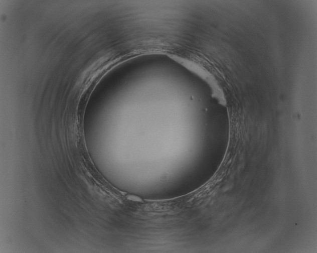 X0000070860338200606231258