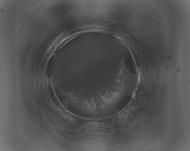 X0000070860339200606231258