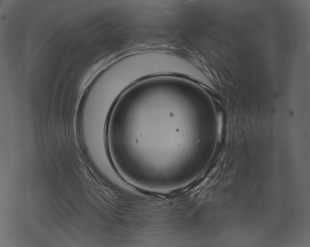 X0000070860340200606231258