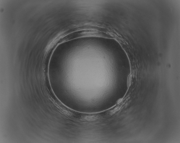 X0000070860341200606231258